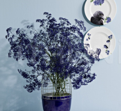 Лоток Dune фабрика Kartell