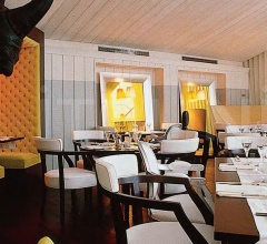 Стул с подлокотниками NEOZ Стул с подлокотниками NEOZ фабрика Driade