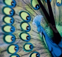 Часы 7936 фабрика Tonin Casa