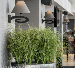 Настенный светильник LAZY SUNDAY W1 / W1H фабрика Ilfari