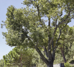 Итальянские Уличные шезлонги - Шезлонг KEY WEST 4234 Итальянские Уличные шезлонги - Шезлонг KEY WEST 4234 фабрика Roberti Rattan