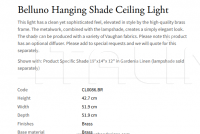Подвесной светильник Belluno Hanging Shade CL0086.BR Vaughan