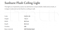 Потолочный светильник Sunburst Flush CL0161.GI Vaughan