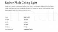 Потолочный светильник Radnor Flush CL0041.BR Vaughan