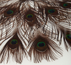 Журнальный столик PEACOCK SQUARE COCKTAIL TABLE Журнальный столик PEACOCK SQUARE COCKTAIL TABLE фабрика Baker