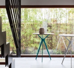 Кофейный столик Tree 6299 фабрика Tonin Casa