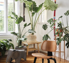 Игра Eames Elephant (Plywood, grey) Игра Eames Elephant (Plywood, grey) фабрика Vitra