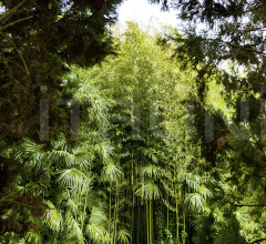 Диван BELT Daybed Compact фабрика Varaschin