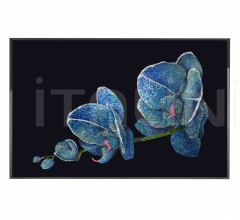 Итальянские Интерьерные декорации - Интерьерная декорация Orchidea Blu Итальянские Интерьерные декорации - Интерьерная декорация Orchidea Blu фабрика IPE Cavalli (Visionnaire)