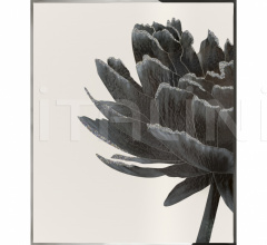 Интерьерная декорация Black Flower фабрика IPE Cavalli (Visionnaire)