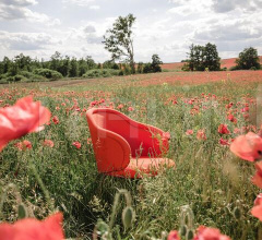 Стул с подлокотниками Ona Curved Armchair Стул с подлокотниками Ona Curved Armchair фабрика Freifrau