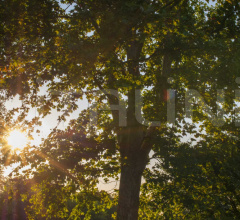 Стул с подлокотниками Eden Chair Стул с подлокотниками Eden Chair фабрика Atmosphera