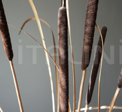 Итальянские Напольные светильники - Напольный светильник Typha 285.04 Итальянские Напольные светильники - Напольный светильник Typha 285.04 фабрика Il Fanale