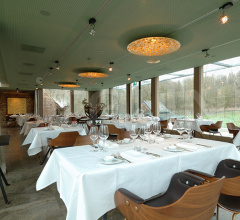 Стул с подлокотниками Showtime - sled base Стул с подлокотниками Showtime - sled base фабрика BD Barcelona Design