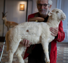 Столик Xai Столик Xai фабрика BD Barcelona Design