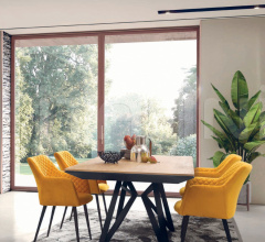 Стул с подлокотниками DB006484 фабрика Dialma Brown