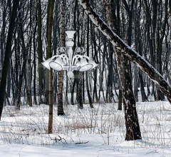 Люстра Capriccio 560 L0560-6-SJ-MG фабрика Multiforme