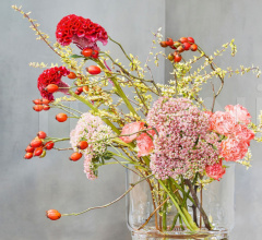 Итальянские Вазы - Ваза Otto Botanical фабрика Lasvit