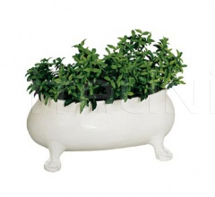 Ваза AA224 фабрика Maggi Massimo