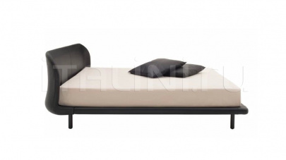 Cappellini