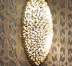 Итальянские Свет - Настенный светильник Thoth Итальянские Свет - Настенный светильник Thoth фабрика IPE Cavalli (Visionnaire)