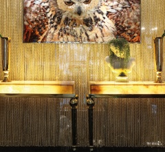 Консоль Cycas Консоль Cycas фабрика IPE Cavalli (Visionnaire)