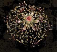 Итальянские Потолочные светильники - Потолочный светильник P351/6 Итальянские Потолочные светильники - Потолочный светильник P351/6 фабрика Mechini