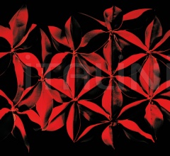 Итальянские Кресла - Кресло Antibodi фабрика Moroso