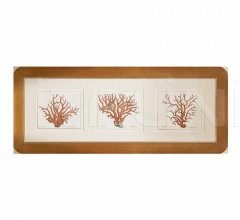 Итальянские Интерьерные декорации - Интерьерная миниатюра P350 Итальянские Интерьерные декорации - Интерьерная миниатюра P350 фабрика Caroti