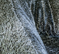 Диван Aster Papposus Диван Aster Papposus фабрика Edra