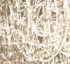 Стол обеденный IRIDE.8240 фабрика Cornelio Cappellini