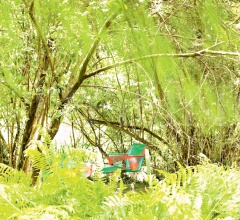 Итальянские Уличная мебель - Кресло Tropicalia фабрика Moroso