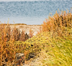 Итальянские Уличная мебель - Скамья Gaal фабрика Moroso