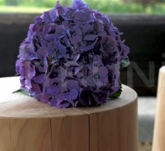 Столик LEGNO VIVO фабрика Riva 1920