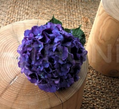 Столик LEGNO VIVO фабрика Riva 1920