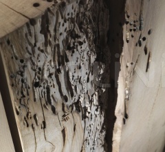 Консоль CODICE BRICCOLE фабрика Riva 1920