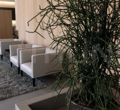 Кресло ADELE SOFT фабрика Frigerio