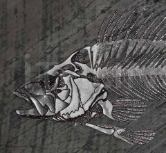 Итальянские Интерьерные декорации - Интерьерная декорация Lisca Di Pesce Итальянские Интерьерные декорации - Интерьерная декорация Lisca Di Pesce фабрика IPE Cavalli (Visionnaire)