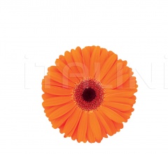 Столик Flower Pot Столик Flower Pot фабрика Potocco