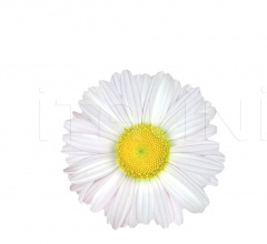 Столик Flower Pot Столик Flower Pot фабрика Potocco