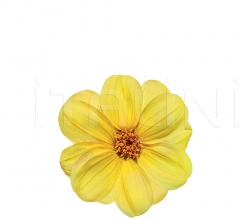 Столик Flower Pot Столик Flower Pot фабрика Potocco