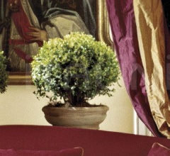 Диван CARLABRUNA фабрика Softhouse