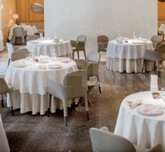 Стул с подлокотниками Ester 690 Стул с подлокотниками Ester 690 фабрика Pedrali