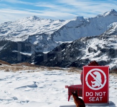 Кресло TIZZI фабрика Creazioni