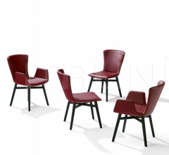 Стул с подлокотниками 2056-XI DEXTER фабрика Draenert