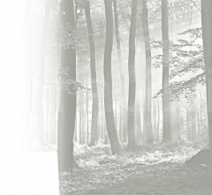 Шкаф FOREST Шкаф FOREST фабрика Mobilform