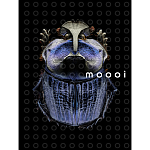 Moooi Boook 2018