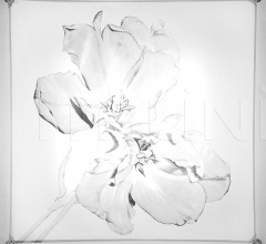 Итальянские Потолочные светильники - Потолочный светильник Veroca Print Итальянские Потолочные светильники - Потолочный светильник Veroca Print фабрика B Lux