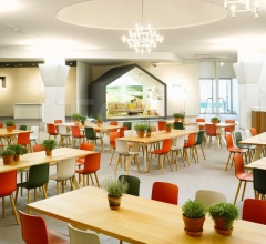 Стул HAL Wood Стул HAL Wood фабрика Vitra