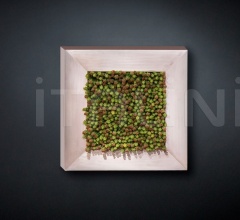Итальянские Интерьерные декорации - Интерьерная декорация SEDUM FRAME Итальянские Интерьерные декорации - Интерьерная декорация SEDUM FRAME фабрика VGnewtrend
